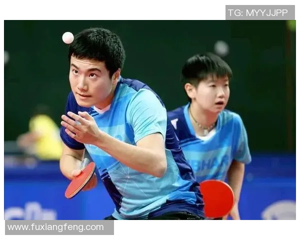杭州乒乓球队在世界杯预选赛中的技术表现分析与点评